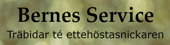 Bernes service